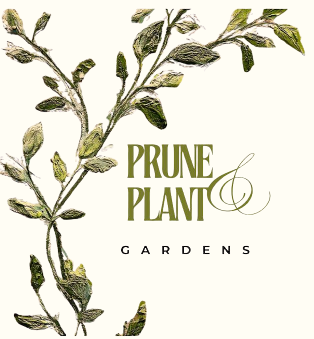 Prune & Plant Gardens