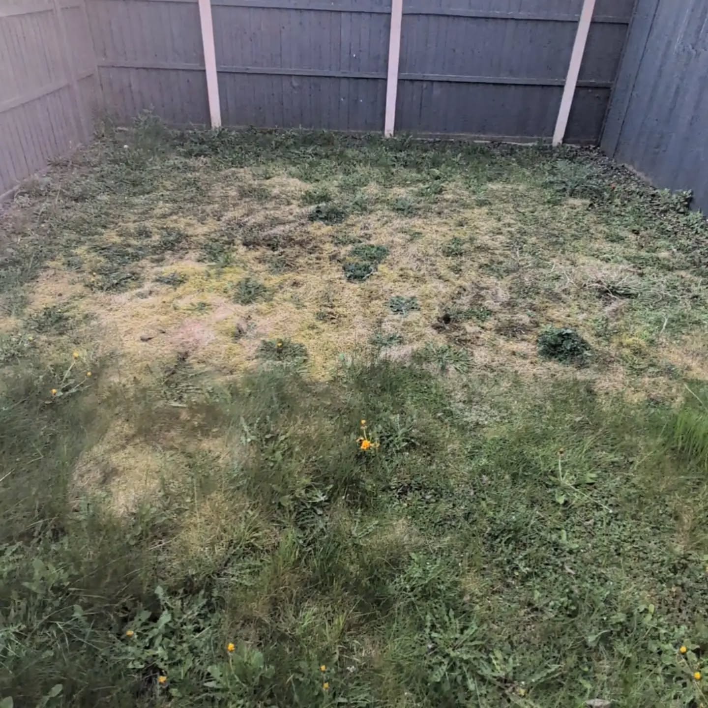 Before photo